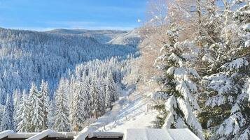 Àrea exterior de l'allotjament