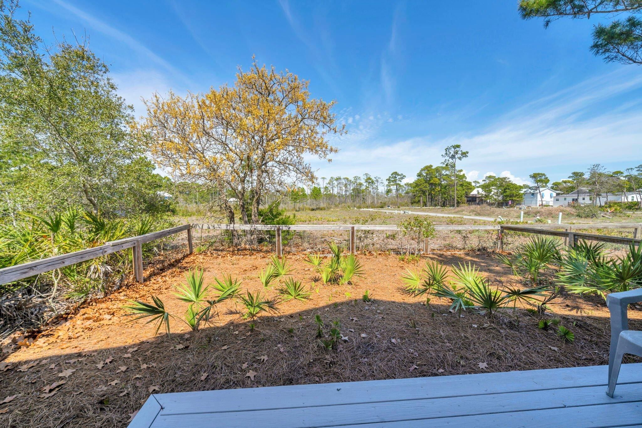 A landscaped garden with a wooden fence, a variety of plants, and a clear blue sky.