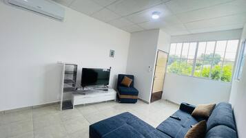 Smart-TV, Bücher