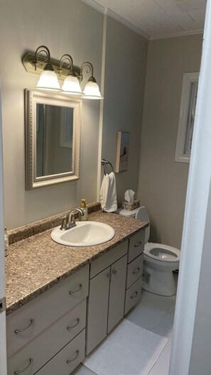 Shower, hair dryer, towels, soap - Family-sized home 5 minutes from beaches & Point Pelee National Park! (Leamington)