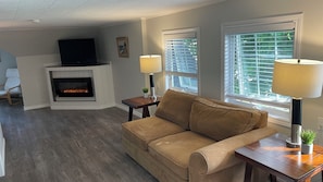 Smart TV, fireplace, books