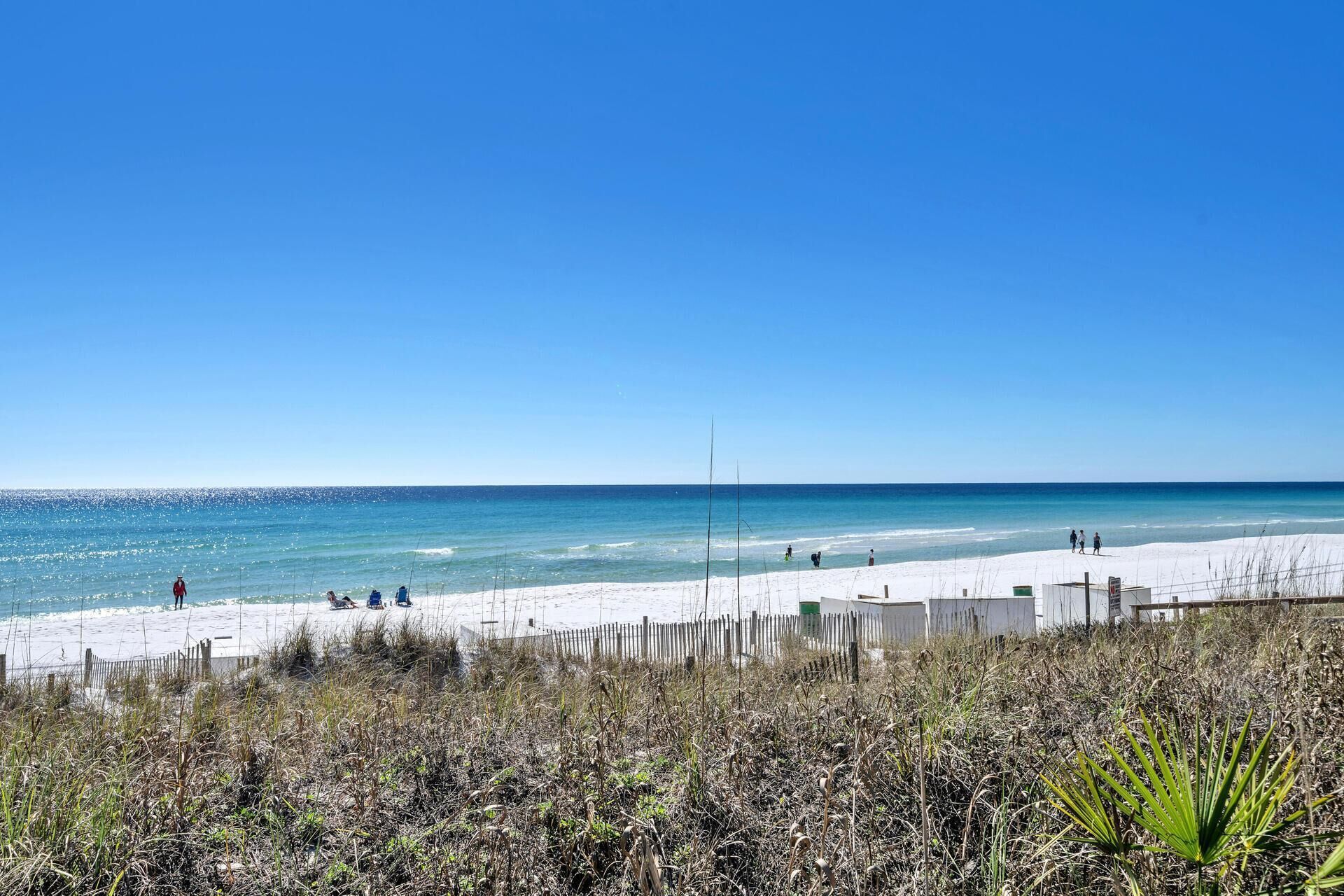 A beach with clear skies, a sandy shore, and sparse vegetation.