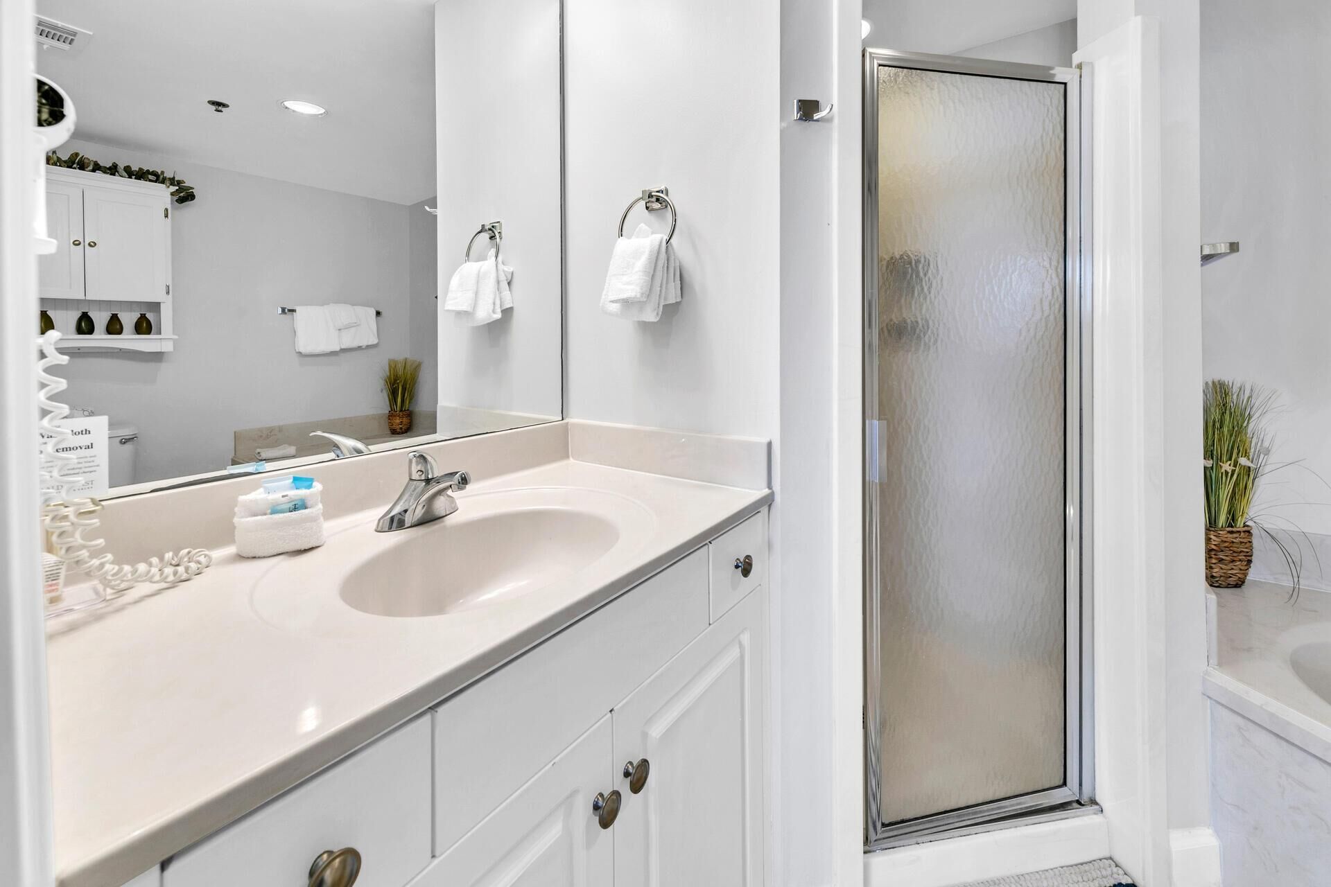 A modern bathroom with a white sink, a mirror, a glass shower enclosure, and a potted plant.