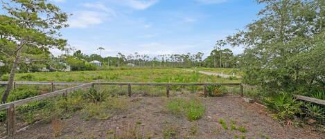 House, 1 King Bed with Sofa bed (A Blue Pearl) | Property grounds