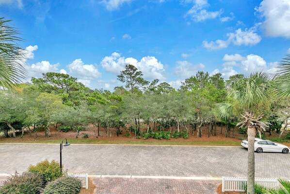 Property grounds - Beaches and Birdies (Santa Rosa Beach)