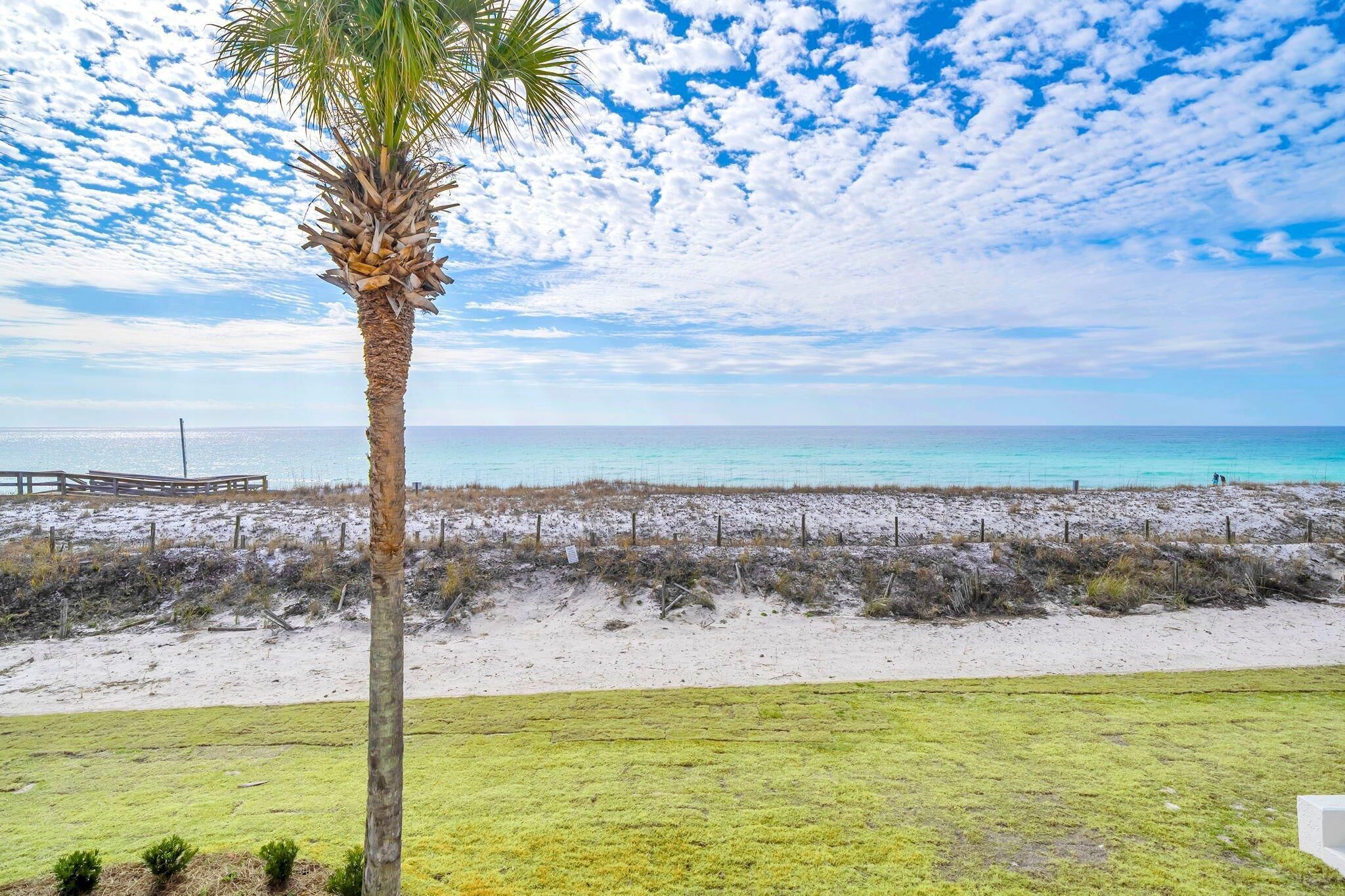Una playa con una palmera, una terraza de madera y una zona arenosa con vegetación escasa.