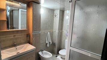 Shower, hair dryer, bidet, towels