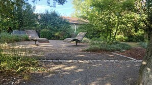 Zona pavimentada con dos bancos de madera y vegetación circundante.