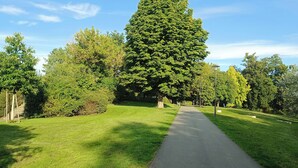 Un sendero atraviesa un parque con un árbol alto en el centro y cielo despejado.