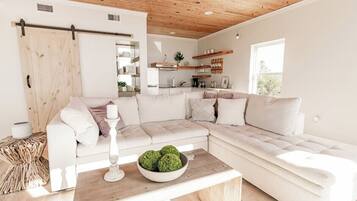 TV, fireplace, books, offices