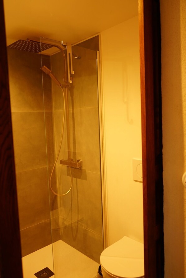 Une douche fermée par des parois en verre, dotée d’un pommeau de douche à main et d’un robinet mural.