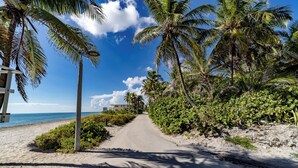 Una carretera pavimentada bordeada de palmeras y vegetación costera, que conduce a una playa con aguas azul turquesa.