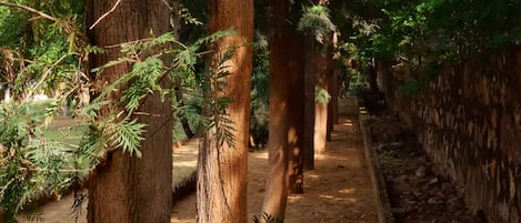 Jardines del alojamiento