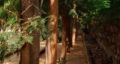 The Raghav - Villa/Farmhouse Getaway amidst Nature
