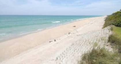 Walk to Bars, Shops & Restaurants...Beach is a short 5 min drive