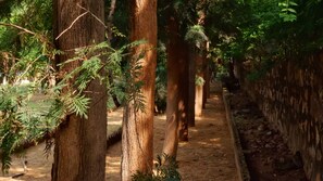 A forested area with tall trees and a dirt path. - The Raghav - Villa/Farmhouse Getaway amidst Nature #3 (Gurugram)