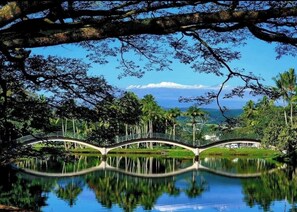 Miscellaneous - Hilo Lagoon 2 BD Condo-A/C, Pool (Hilo)