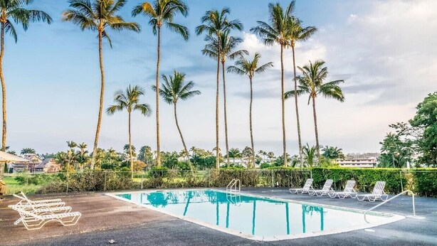 A swimming pool with lounge chairs, surrounded by tall palm trees and a clear sky. - Newly Renovated Hilo Lagoon 2 BD Condo-A/C, Pool (Hilo)