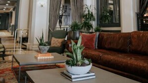 Een ruime woonkamer met een bruine leren bank, een bijzettafeltje met een plant en een kamerkleed met een patroon.