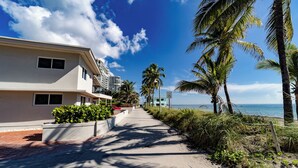 A coastal road lined with palm trees and a building with a speed limit sign of 15.