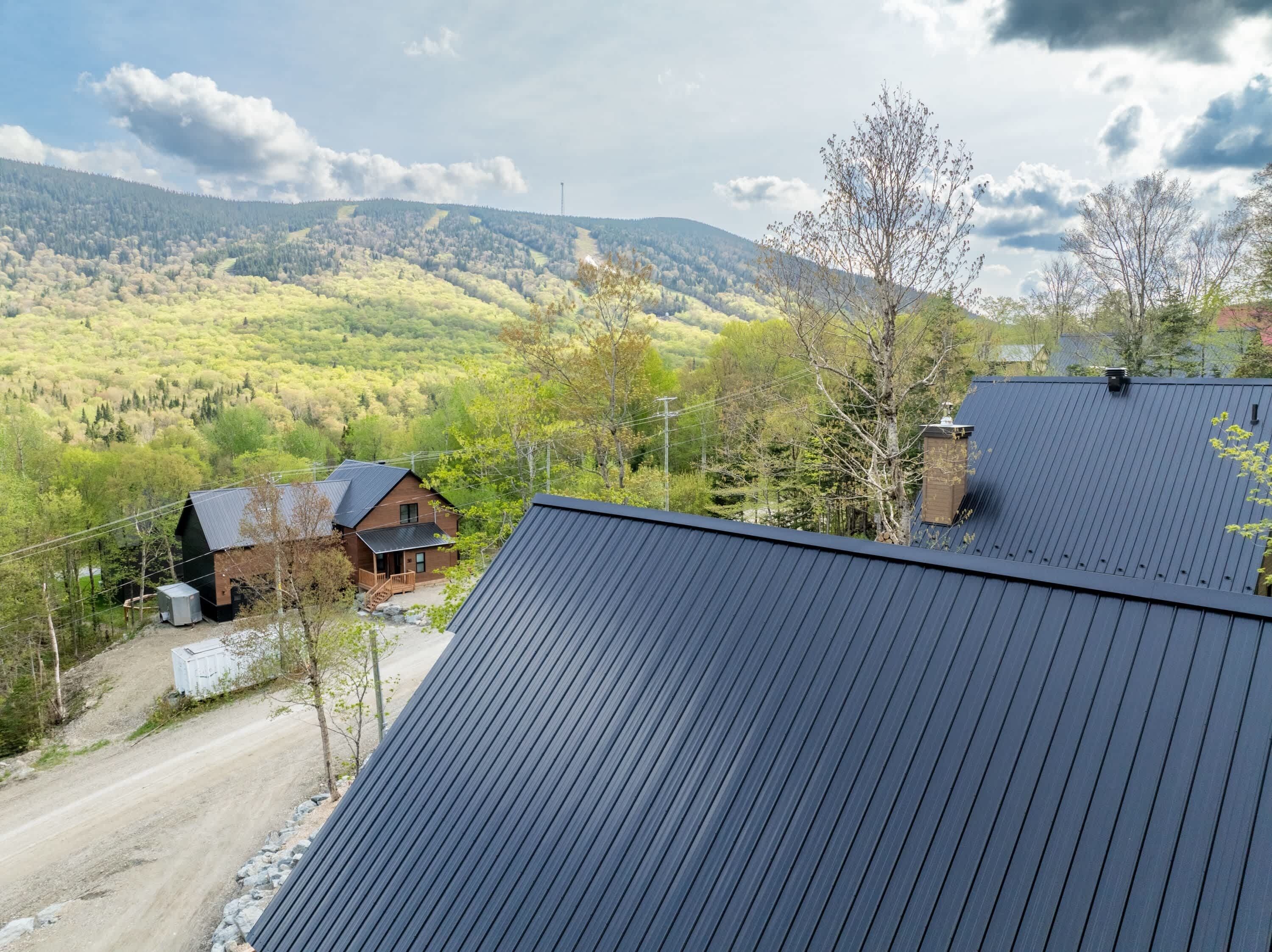 A cabin with a metal roof, surrounded by a forested mountain landscape.
