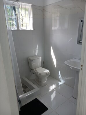 Une petite salle de bain blanche, équipée de toilettes, d’un lavabo et d’une douche.
