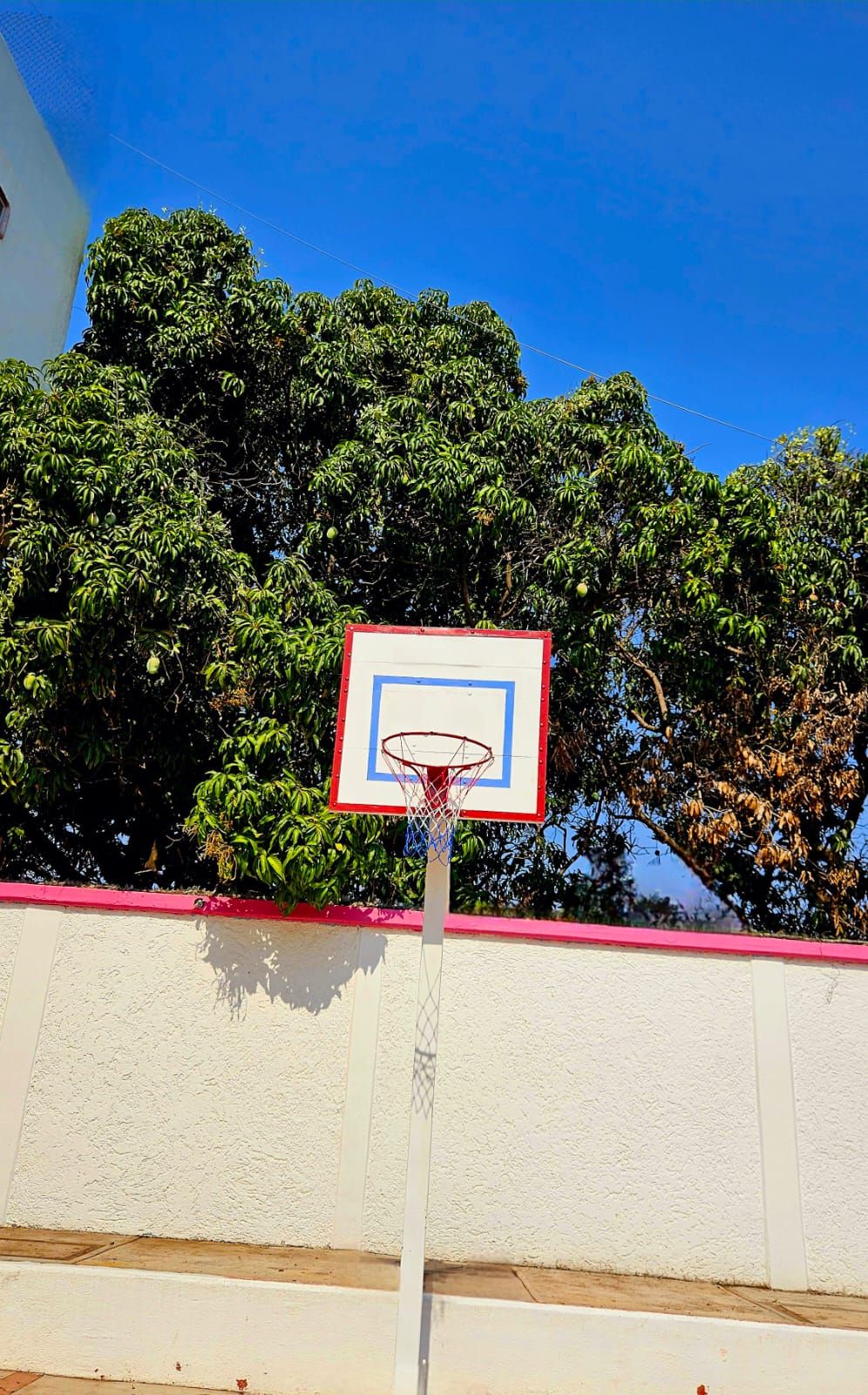 A basketball hoop with a red and white backboard, set against a wall with a red trim and a backdrop of dense green foliage.
