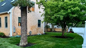 A residential house with a well-maintained lawn, a large tree, and a visible garage. - Brand New Four Bedroom Home Near Beach and Town (Chatham)