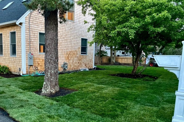 Terrein van de accommodatie