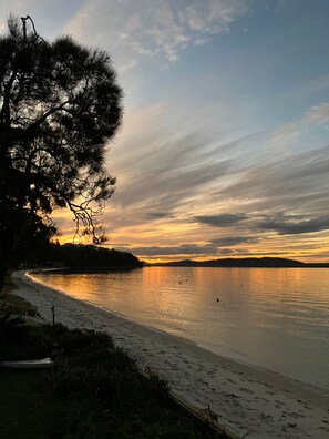 Ein Strand mit ruhiger See, blauem Himmel und einem Baum im Vordergrund.