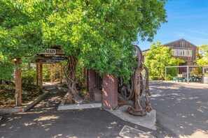 Terrein van de accommodatie