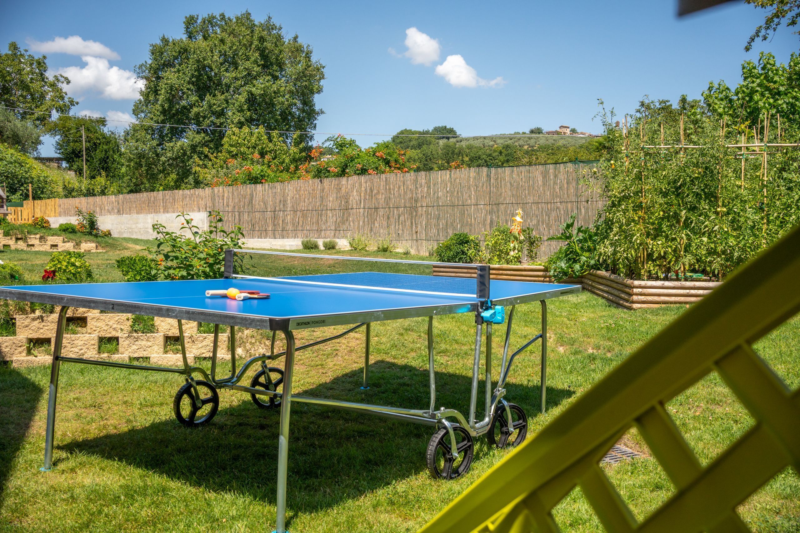 A ping pong table in an outdoor setting with a grassy area, a wooden fence, and some greenery in the background.