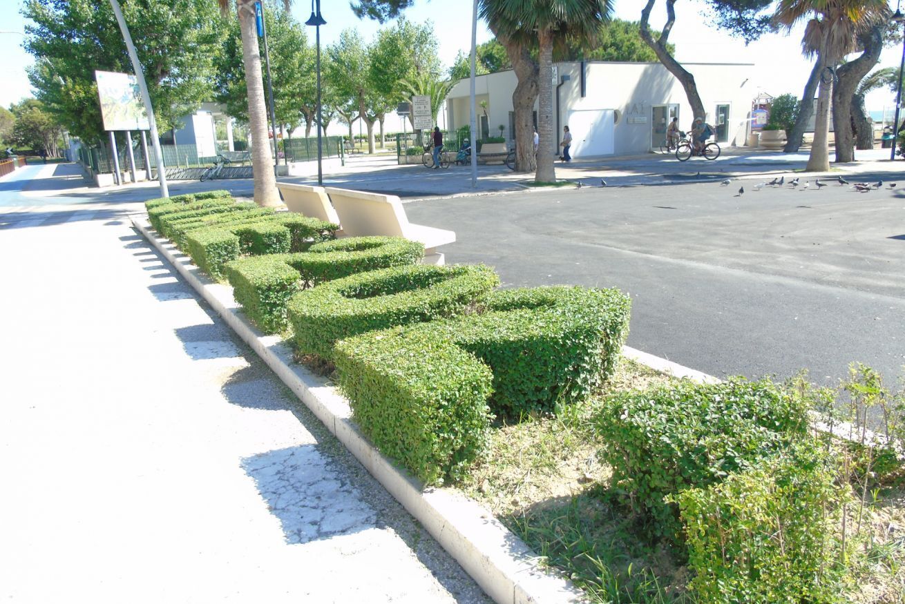 A paved pathway with neatly trimmed hedges and a white bench.