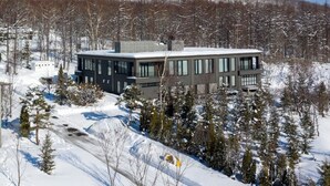 Une maison moderne à deux étages, entourée d’arbres couverts de neige, avec une montagne en arrière-plan.