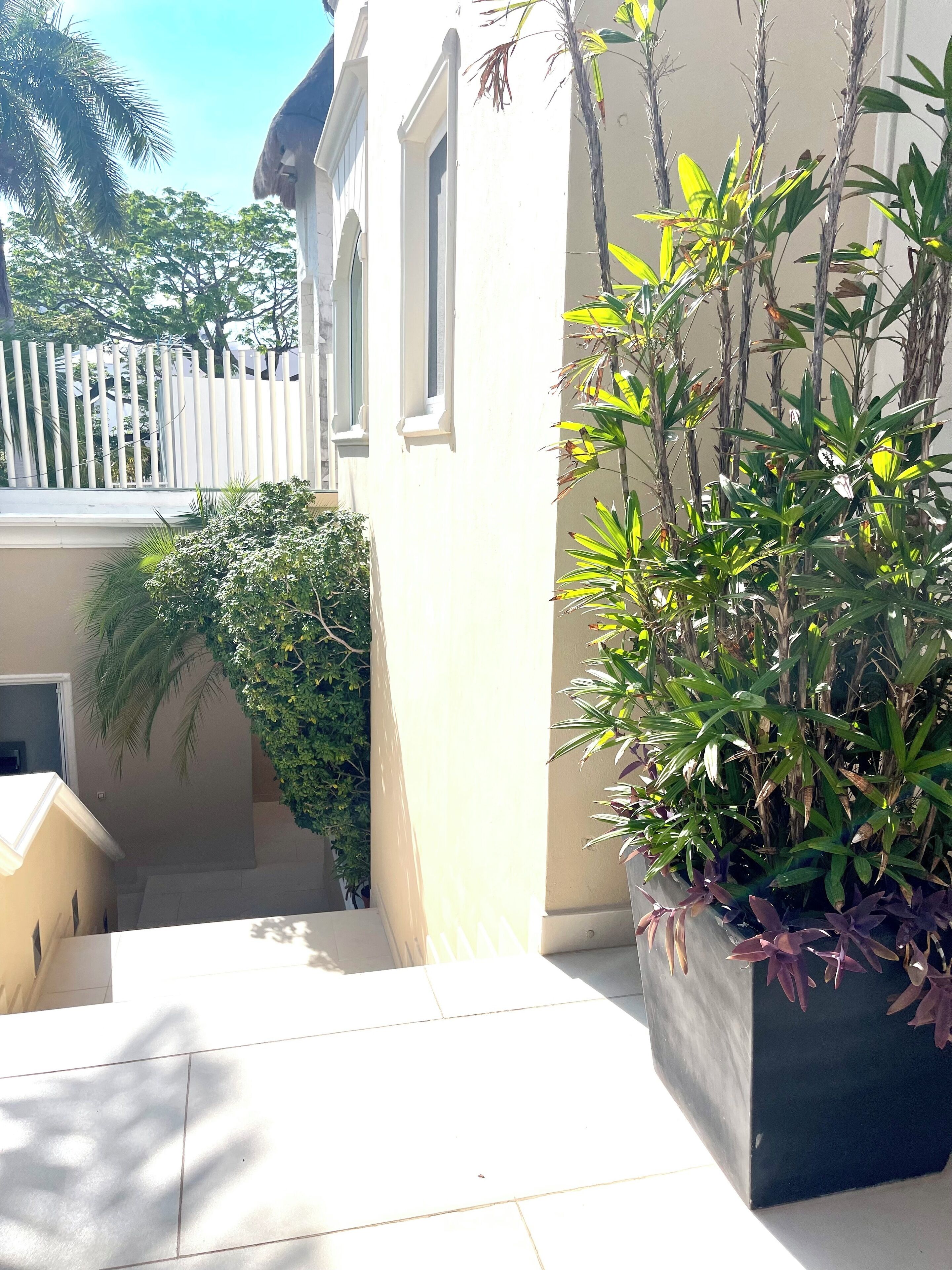 Un edificio con fachada blanca, una escalera y una planta en maceta con hojas verdes y moradas.