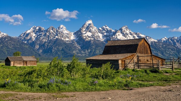 A rustic wooden barn with a dirt path leading to it, surrounded by lush greenery and wildflowers.