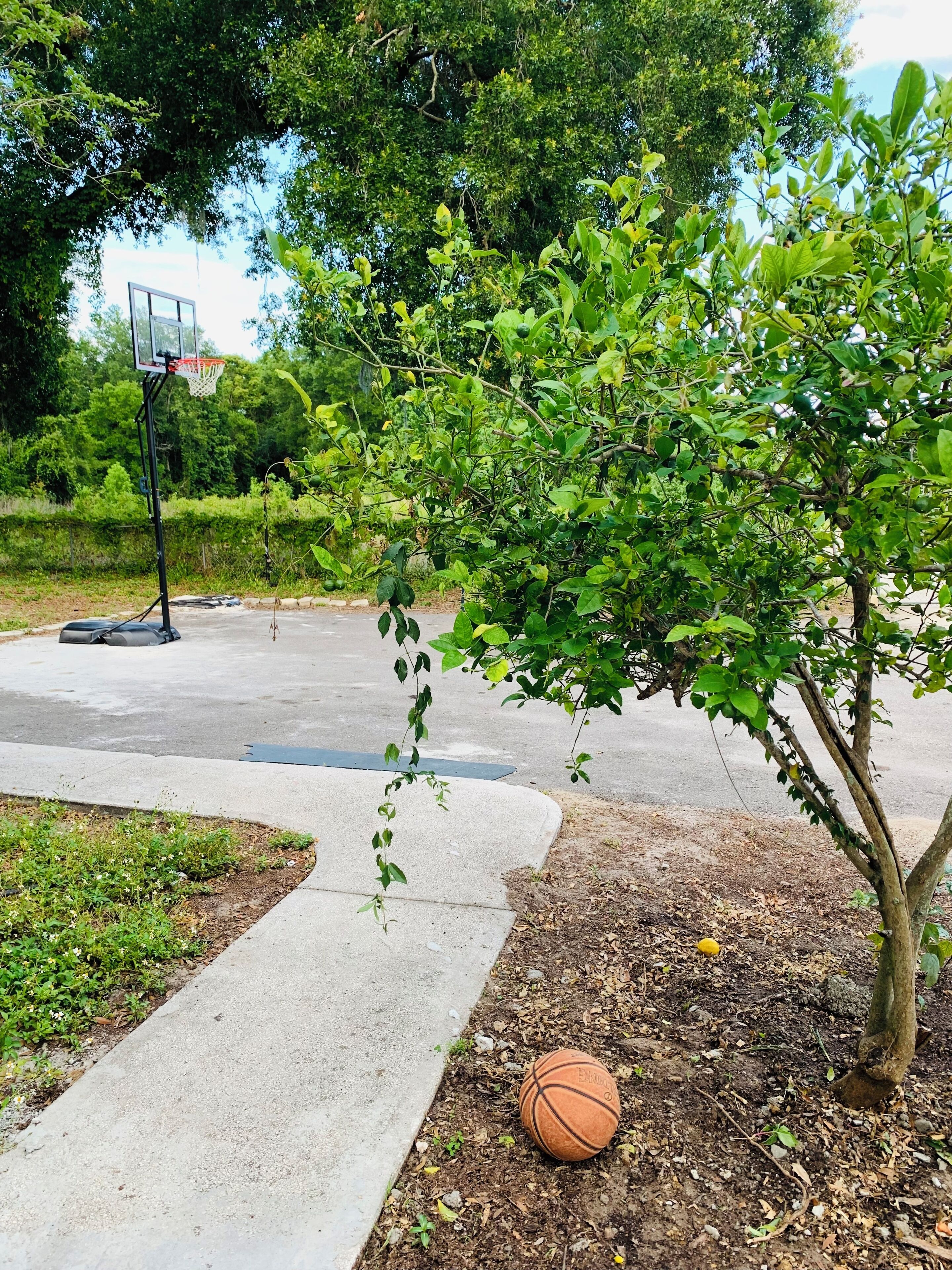 Sports court