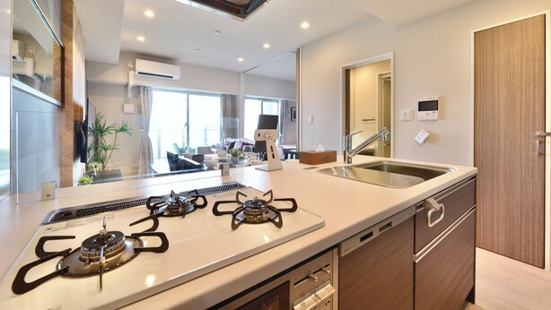 A modern kitchen with a gas stove, a sink, and a dishwasher. - Branchera naha akebono premist R69 (Naha)