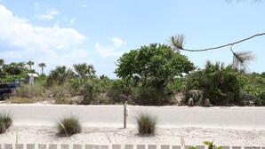 Una carretera costera con playa arenosa, cerca viva blanca y diversa vegetación tropical.