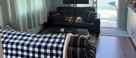 A cozy living room with a black sofa, a checkered ottoman, and a ceiling fan.