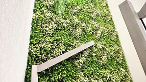 A vertical garden wall with a wooden shelf.