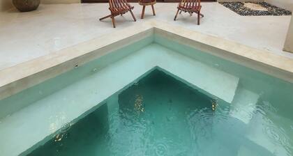 Amazing new jungle lodge in Tulum with private pool.