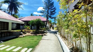 A residential area with a paved pathway, a lawn, and a variety of plants and trees.