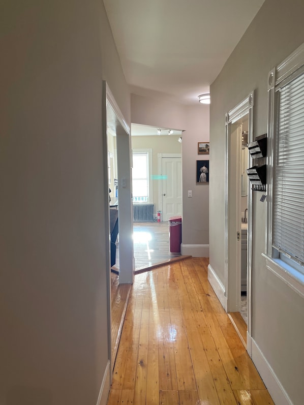 Interior - Luxury Apartment in Harvard Area (Belmont)