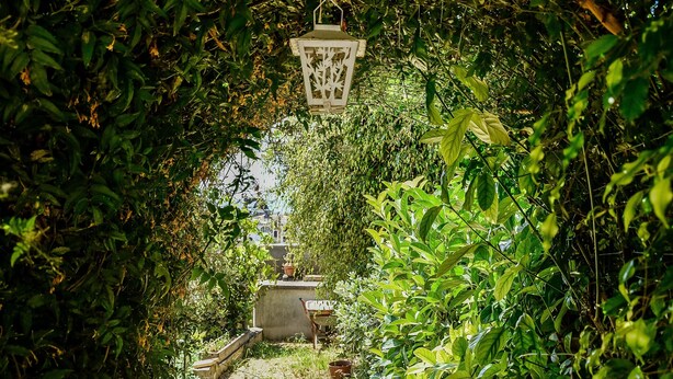 Un sentier de jardin agrémenté d’une lanterne suspendue, d’un feuillage dense et d’une structure en béton.