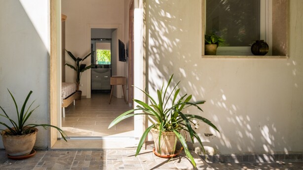 Um corredor com plantas em vasos, uma cama e uma janela com vista.