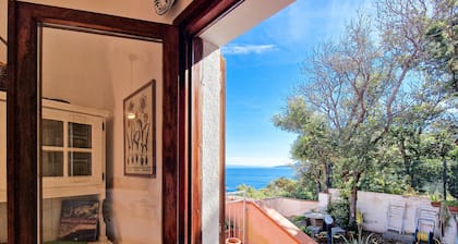 Holiday Home 'Trilocale Maestrale Beach' with Sea View, Terrace and Air Conditioning