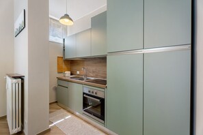 Fridge, oven, stovetop, electric kettle