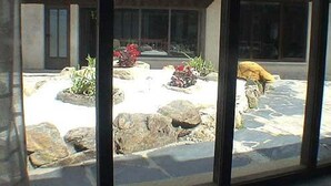 Une terrasse en pierre avec un foyer en pierre, entourée de rochers et de plantes en pot.