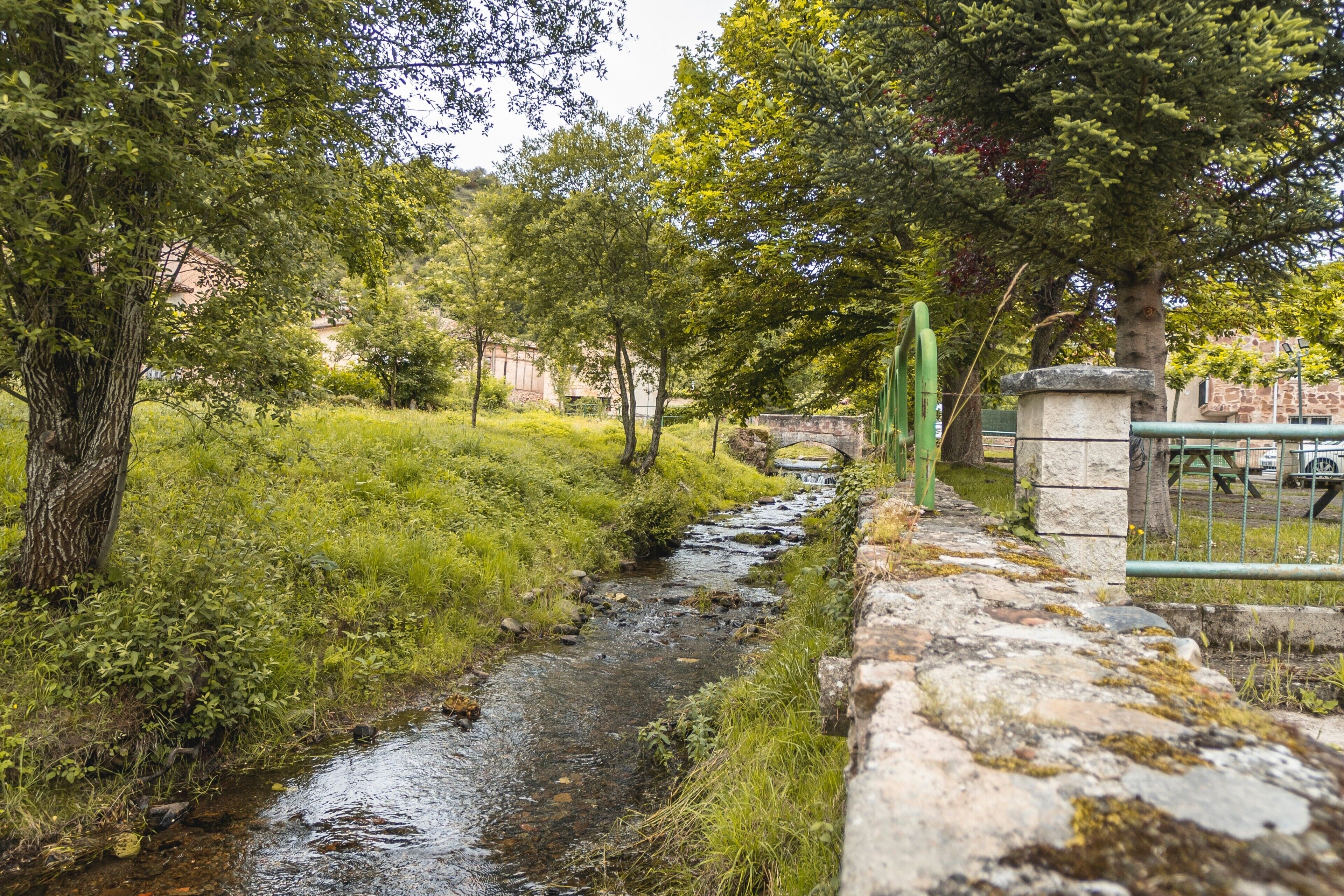 A narrow stream with a stone wall and a metal gate, surrounded by greenery and trees.